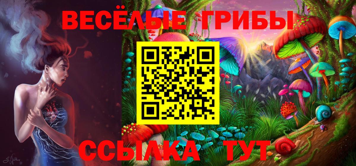 Галлюциногенные грибы мицелий Боровичи
