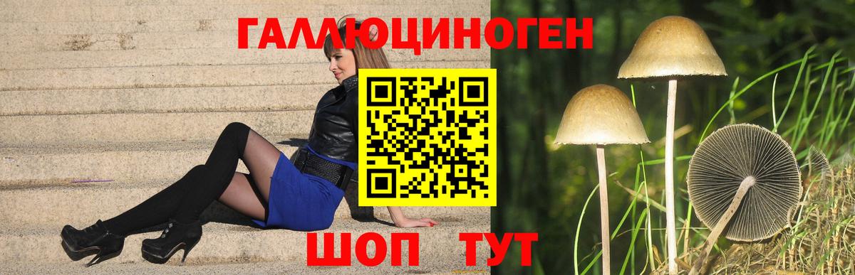 закладка  Вход с VPN  Боровичи  Псилоцибиновые грибы мухоморы 