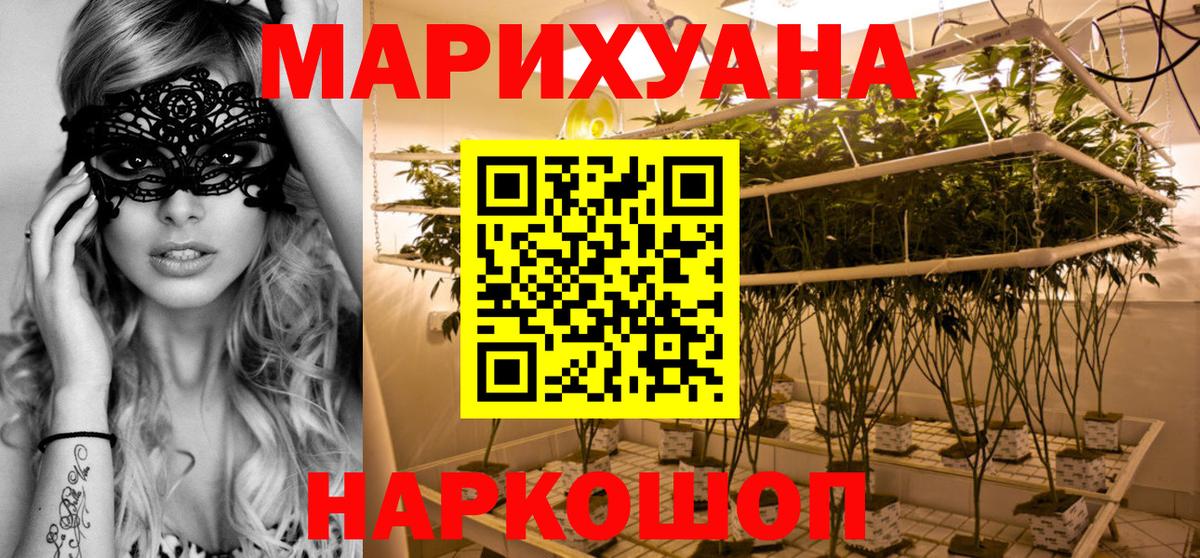 Конопля сатива Боровичи